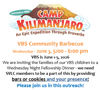 vbs bbq spot 052026